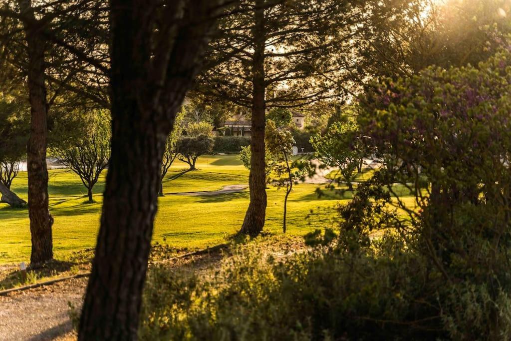 Magnifique Vue Lac Au Golf De Pont-Royal 马勒莫尔 外观 照片